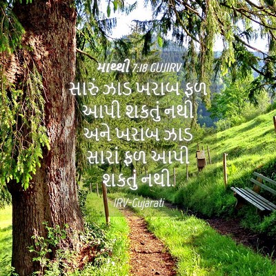 Picture 04 - માથ્થી 7:18 GUJIRV - સારું ઝાડ ખરાબ ફળ - Bible Verse Picture