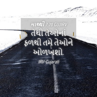 Picture 04 - માથ્થી 7:20 GUJIRV - તેથી તેઓનાં ફળથી - Bible Verse Picture