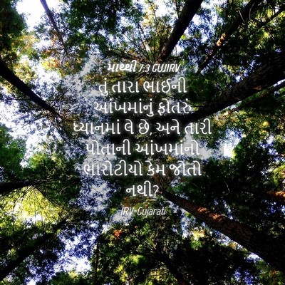 Picture 04 - માથ્થી 7:3 GUJIRV - તું તારા ભાઈની - Bible Verse Picture