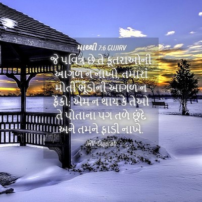 Picture 04 - માથ્થી 7:6 GUJIRV - જે પવિત્ર છે તે - Bible Verse Picture