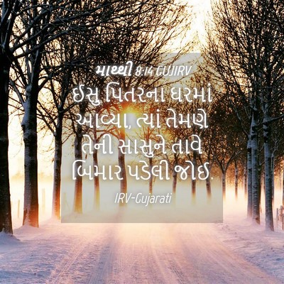 Picture 04 - માથ્થી 8:14 GUJIRV - ઈસુ પિતરના ઘરમાં - Bible Verse Picture