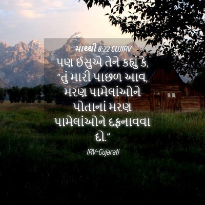 Picture 04 - માથ્થી 8:22 GUJIRV - પણ ઈસુએ તેને - Bible Verse Picture