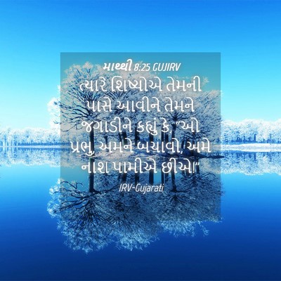 Picture 04 - માથ્થી 8:25 GUJIRV - ત્યારે શિષ્યોએ - Bible Verse Picture