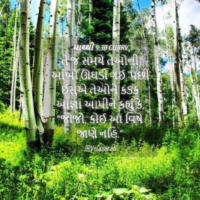 Picture 04 - માથ્થી 9:30 GUJIRV - તે જ સમયે તેઓની - Bible Verse Picture