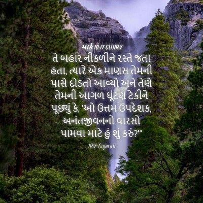 Picture 04 - માર્ક 10:17 GUJIRV - તે બહાર નીકળીને - Bible Verse Picture