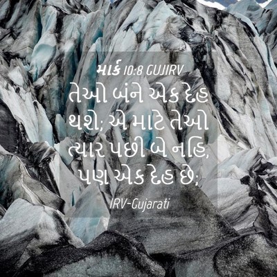 Picture 04 - માર્ક 10:8 GUJIRV - તેઓ બંને એક દેહ - Bible Verse Picture