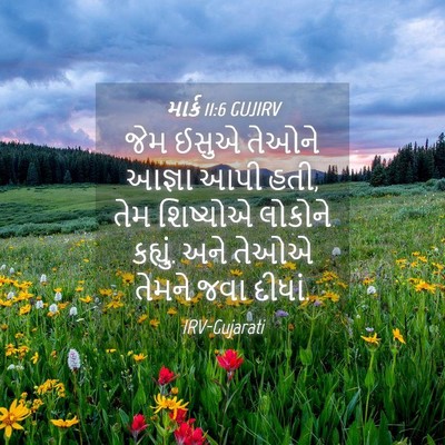 Picture 04 - માર્ક 11:6 GUJIRV - જેમ ઈસુએ તેઓને - Bible Verse Picture