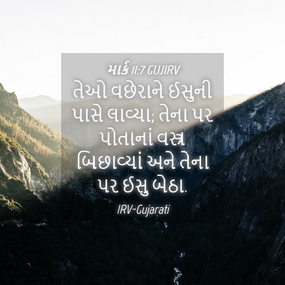 Picture 04 - માર્ક 11:7 GUJIRV - તેઓ વછેરાને ઈસુની - Bible Verse Picture