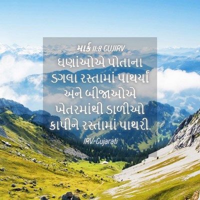 Picture 04 - માર્ક 11:8 GUJIRV - ઘણાંઓએ પોતાના - Bible Verse Picture