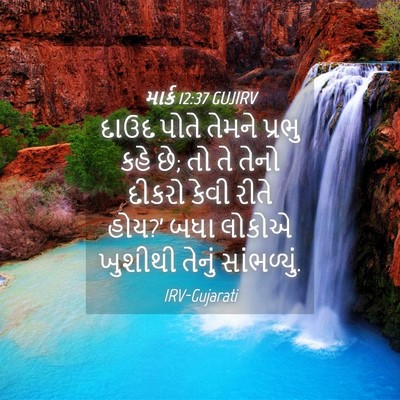Picture 04 - માર્ક 12:37 GUJIRV - દાઉદ પોતે તેમને - Bible Verse Picture