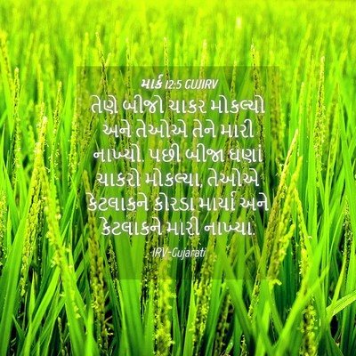 Picture 04 - માર્ક 12:5 GUJIRV - તેણે બીજો ચાકર - Bible Verse Picture