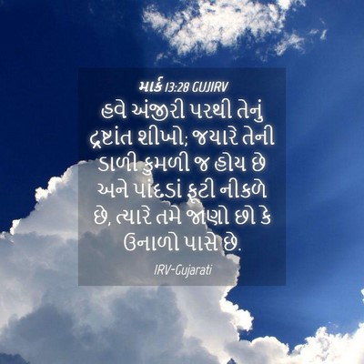 Picture 04 - માર્ક 13:28 GUJIRV - હવે અંજીરી પરથી - Bible Verse Picture