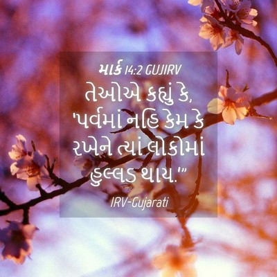 Picture 04 - માર્ક 14:2 GUJIRV - તેઓએ કહ્યું કે, - Bible Verse Picture
