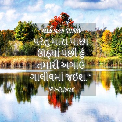 Picture 04 - માર્ક 14:28 GUJIRV - પરંતુ મારા પાછા - Bible Verse Picture