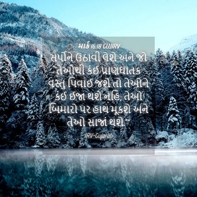 Picture 04 - માર્ક 16:18 GUJIRV - સર્પોને ઉઠાવી - Bible Verse Picture