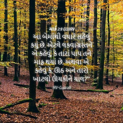 Picture 04 - માર્ક 2:9 GUJIRV - આ બેમાંથી વધારે - Bible Verse Picture
