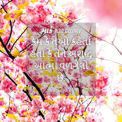 Picture 04 - માર્ક 3:30 GUJIRV - કેમ કે તેઓ કહેતાં - Bible Verse Picture