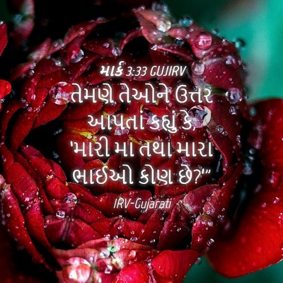 Picture 04 - માર્ક 3:33 GUJIRV - તેમણે તેઓને ઉત્તર - Bible Verse Picture