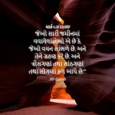 Picture 04 - માર્ક 4:20 GUJIRV - જેઓ સારી જમીનમાં - Bible Verse Picture