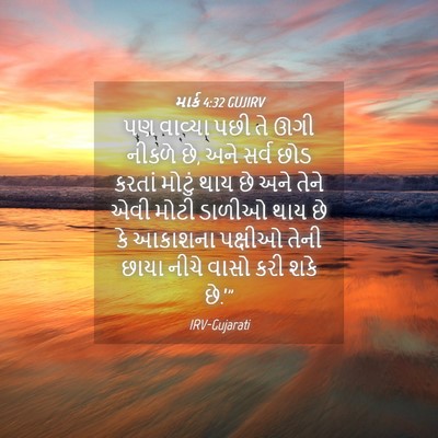 Picture 04 - માર્ક 4:32 GUJIRV - પણ વાવ્યા પછી તે - Bible Verse Picture