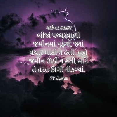 Picture 04 - માર્ક 4:5 GUJIRV - બીજાં પથ્થરવાળી - Bible Verse Picture