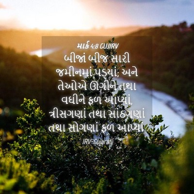 Picture 04 - માર્ક 4:8 GUJIRV - બીજાં બીજ સારી - Bible Verse Picture