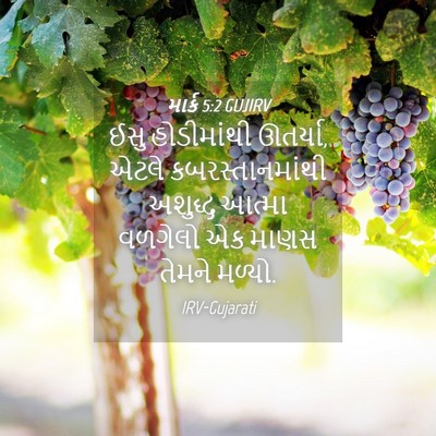 Picture 04 - માર્ક 5:2 GUJIRV - ઈસુ હોડીમાંથી - Bible Verse Picture