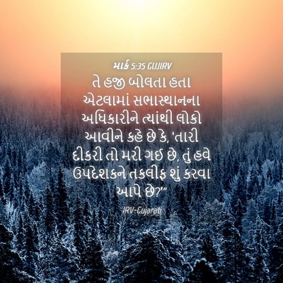 Picture 04 - માર્ક 5:35 GUJIRV - તે હજી બોલતા હતા - Bible Verse Picture