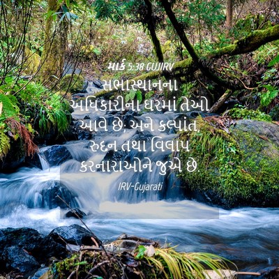 Picture 04 - માર્ક 5:38 GUJIRV - સભાસ્થાનના - Bible Verse Picture
