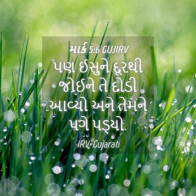 Picture 04 - માર્ક 5:6 GUJIRV - પણ ઈસુને દૂરથી - Bible Verse Picture