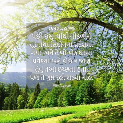 Picture 04 - માર્ક 7:24 GUJIRV - પછી ઈસુ ત્યાંથી - Bible Verse Picture