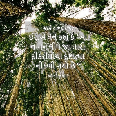 Picture 04 - માર્ક 7:29 GUJIRV - ઈસુએ તેને કહ્યું - Bible Verse Picture
