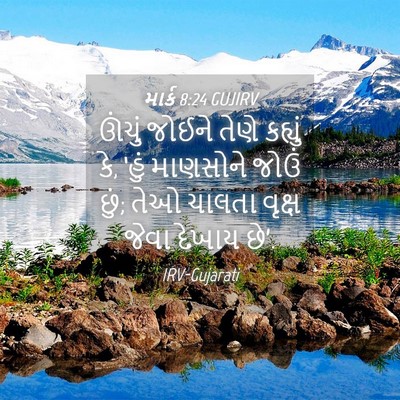 Picture 04 - માર્ક 8:24 GUJIRV - ઊંચું જોઈને તેણે - Bible Verse Picture