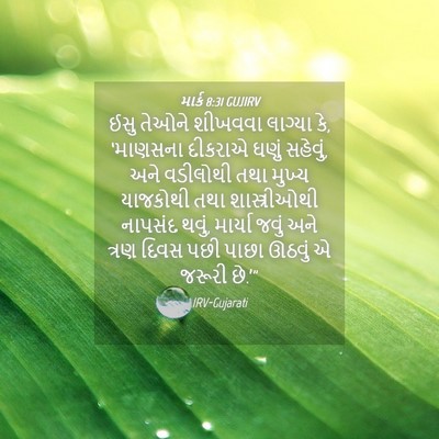 Picture 04 - માર્ક 8:31 GUJIRV - ઈસુ તેઓને શીખવવા - Bible Verse Picture