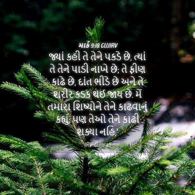 Picture 04 - માર્ક 9:18 GUJIRV - જ્યાં કહી તે તેને - Bible Verse Picture