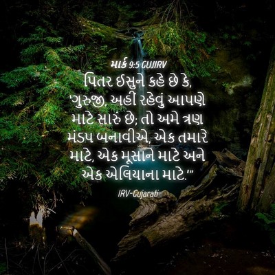 Picture 04 - માર્ક 9:5 GUJIRV - પિતર ઈસુને કહે છે - Bible Verse Picture