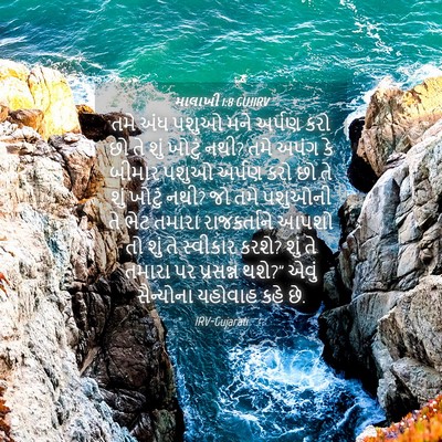 Picture 04 - માલાખી 1:8 GUJIRV - તમે અંધ પશુઓ મને - Bible Verse Picture
