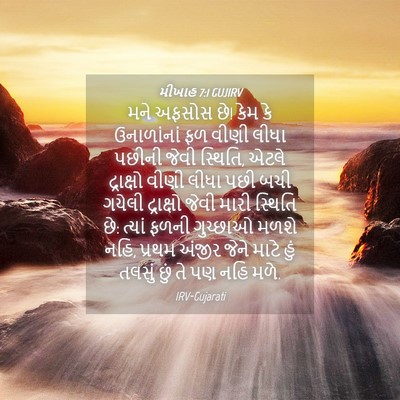 Picture 04 - મીખાહ 7:1 GUJIRV - મને અફસોસ છે! કેમ - Bible Verse Picture