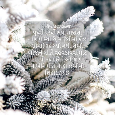 Picture 04 - મીખાહ 7:2 GUJIRV - પૃથ્વી પરથી ભલા - Bible Verse Picture