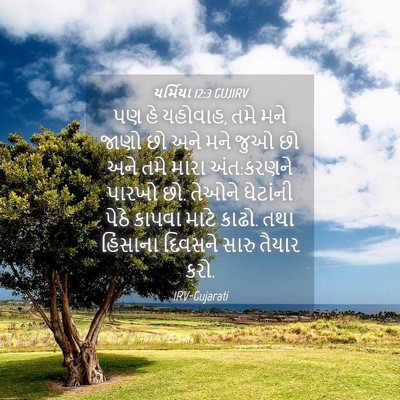 Picture 04 - યર્મિયા 12:3 GUJIRV - પણ હે યહોવાહ, તમે - Bible Verse Picture