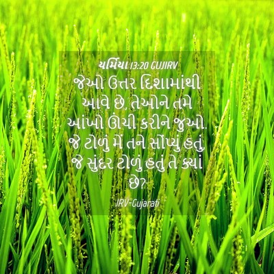 Picture 04 - યર્મિયા 13:20 GUJIRV - જેઓ ઉત્તર - Bible Verse Picture