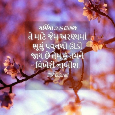 Picture 04 - યર્મિયા 13:24 GUJIRV - તે માટે જેમ - Bible Verse Picture