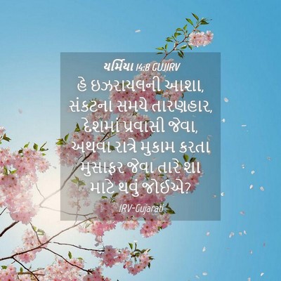 Picture 04 - યર્મિયા 14:8 GUJIRV - હે ઇઝરાયલની આશા, - Bible Verse Picture