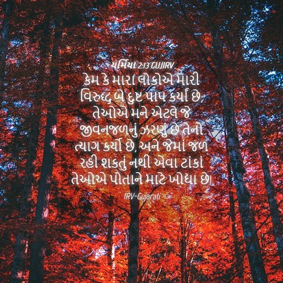 Picture 04 - યર્મિયા 2:13 GUJIRV - કેમ કે મારા લોકોએ - Bible Verse Picture