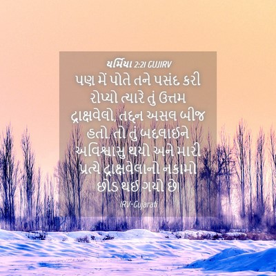Picture 04 - યર્મિયા 2:21 GUJIRV - પણ મેં પોતે તને - Bible Verse Picture