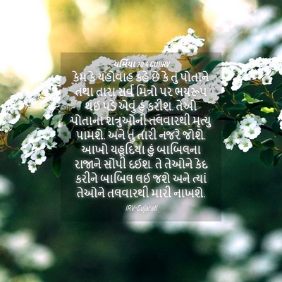 Picture 04 - યર્મિયા 20:4 GUJIRV - કેમ કે યહોવાહ કહે - Bible Verse Picture