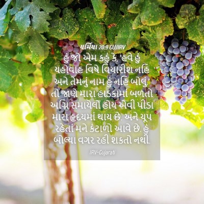 Picture 04 - યર્મિયા 20:9 GUJIRV - હું જો એમ કહું કે, - Bible Verse Picture