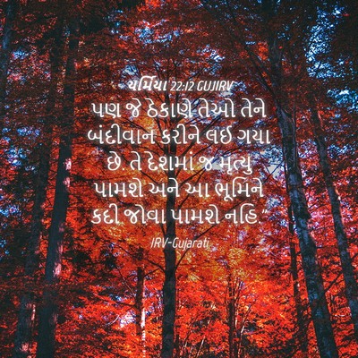 Picture 04 - યર્મિયા 22:12 GUJIRV - પણ જે ઠેકાણે તેઓ - Bible Verse Picture