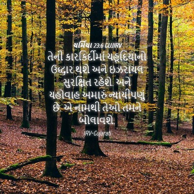 Picture 04 - યર્મિયા 23:6 GUJIRV - તેની કારકિર્દીમાં - Bible Verse Picture