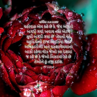 Picture 04 - યર્મિયા 24:8 GUJIRV - યહોવાહ એમ કહે છે - Bible Verse Picture